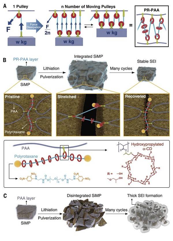 editor1526297130939145.jpg 1.jpg