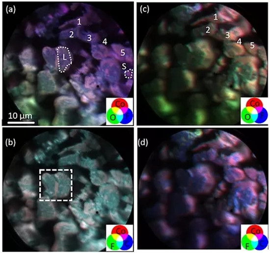 editor1533655568608973.png 0000.png