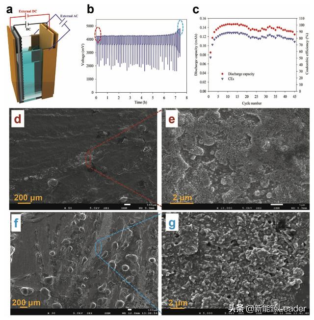 editor1552281567908794.jpg 04.jpg