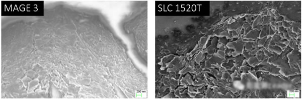 editor1559702778903882.jpg 201904161432_17149900.jpg